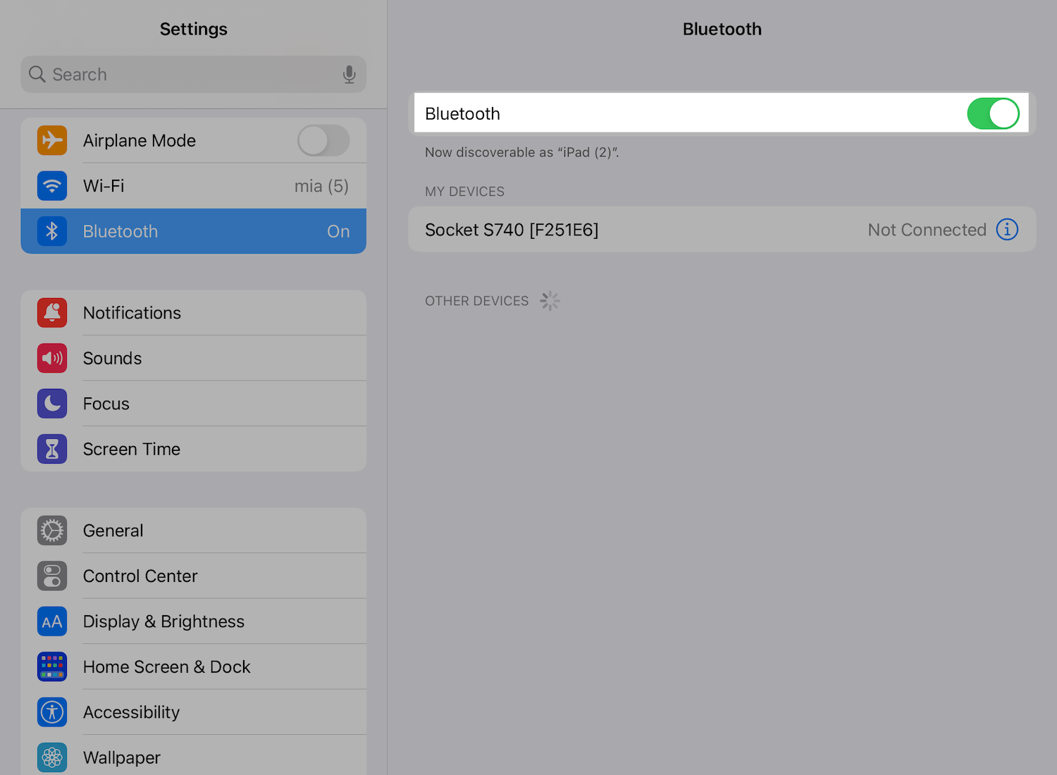 The 'Bluetooth' setting toggled on within the iPad's Settings app.