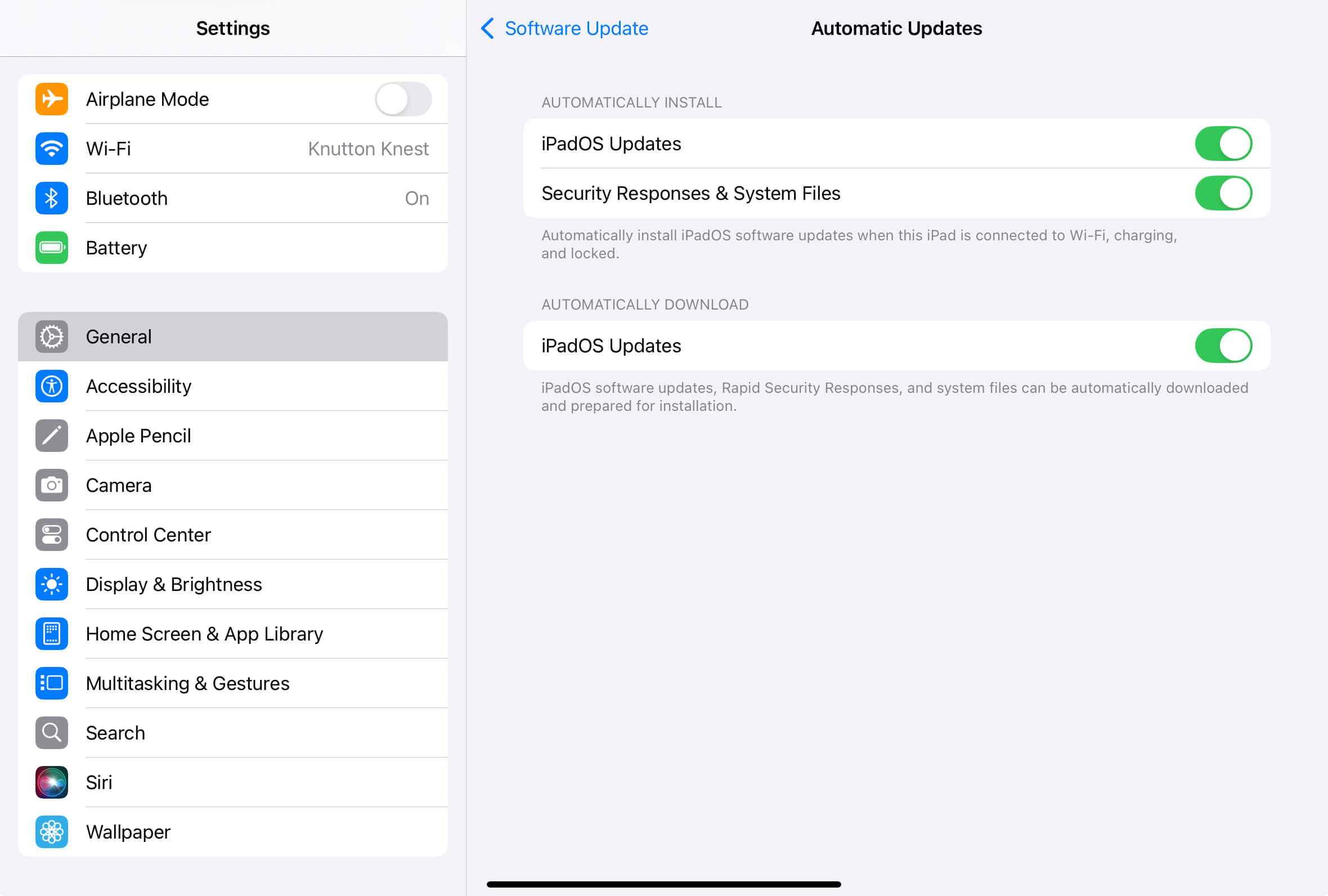 Alle Optionen im Bildschirm für automatische Updates aktiviert