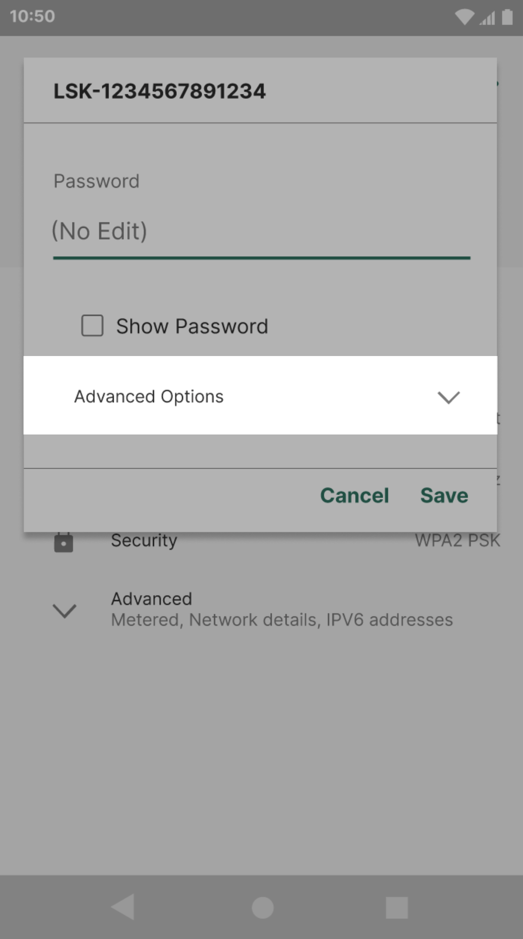Terminal screen showing the Advanced Options option highlighted.
