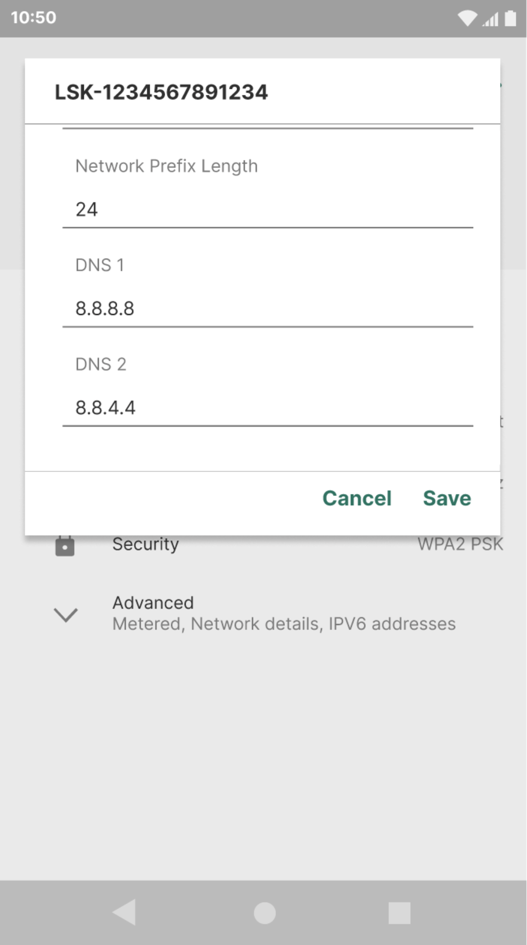Terminal screen showing the DNS 1 set to 8.8.8.8 and DNS 2 set to 8.8.4.4.